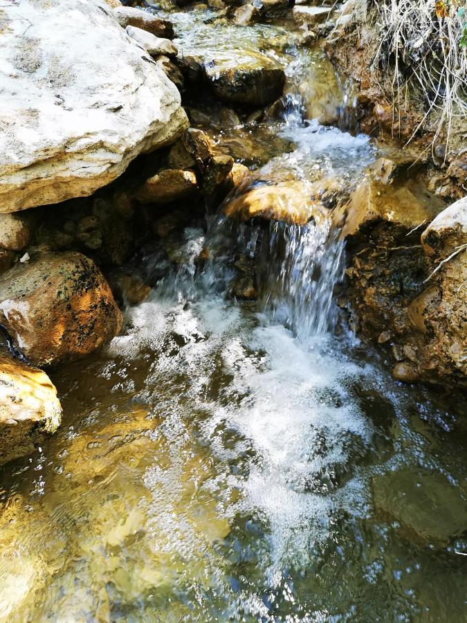 לינה וארוחת בוקר Les Marches L'Etang De La Tourne מראה חיצוני תמונה