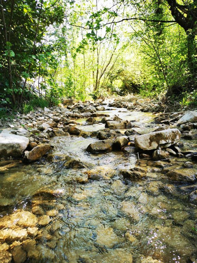 לינה וארוחת בוקר Les Marches L'Etang De La Tourne מראה חיצוני תמונה